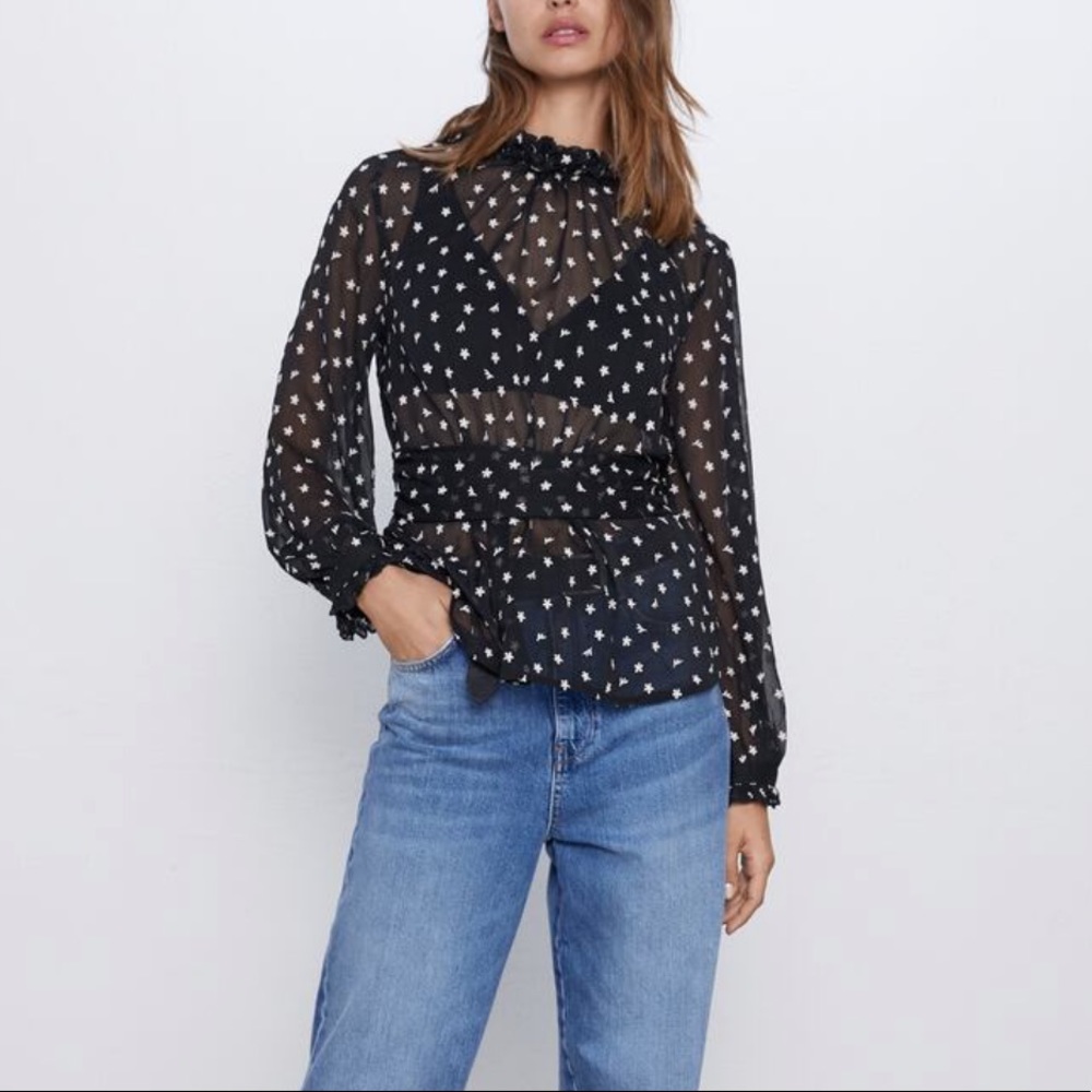 NWT Zara Ditsy Floral Embroidered Blouse